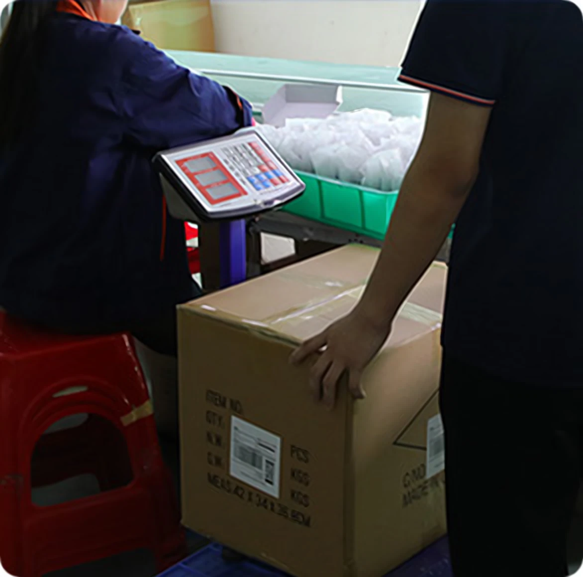 Packaging & Boxing